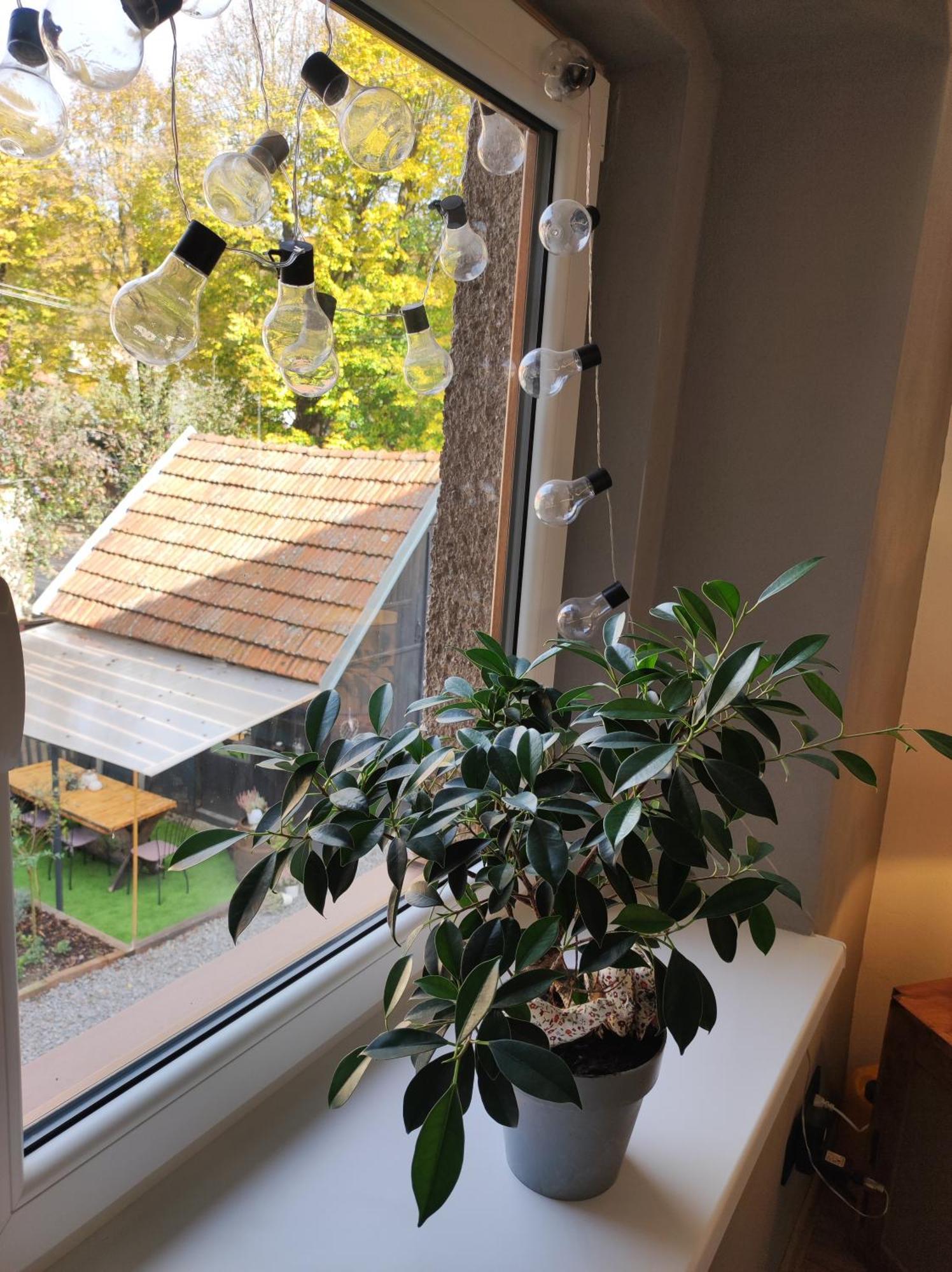 Dian Feelhome Banska Bela Exterior photo